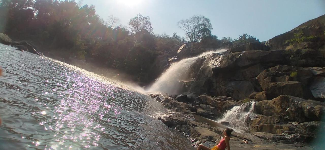 Winterhome Homestay Munnar Dış mekan fotoğraf