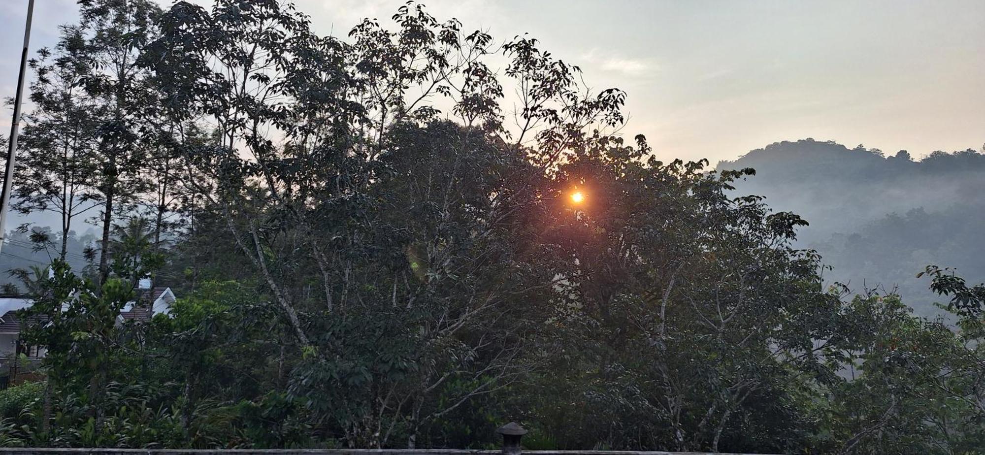 Winterhome Homestay Munnar Dış mekan fotoğraf