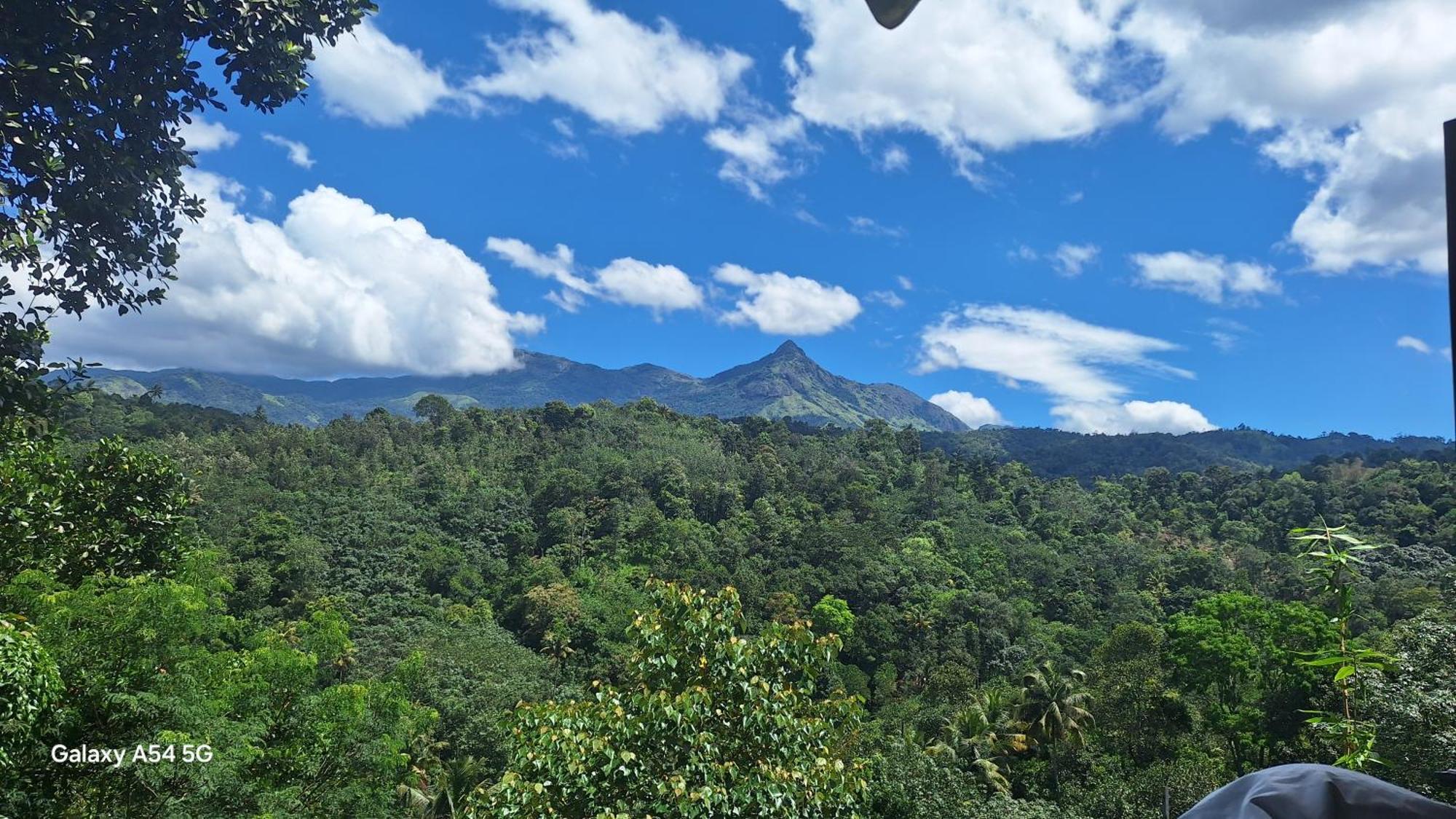 Winterhome Homestay Munnar Oda fotoğraf